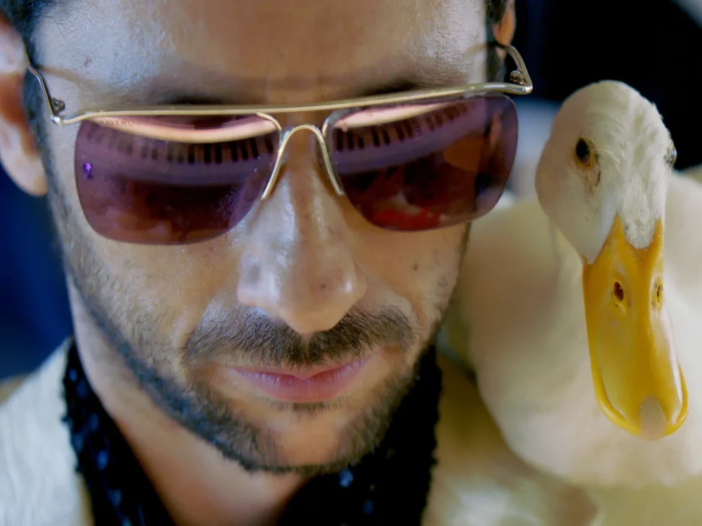 Provocative Cinema: How 'Yes' Angers Both Sides of Israel's Political Divide