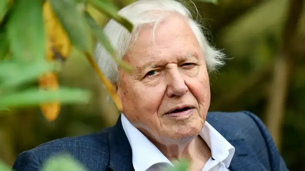 David Attenborough Earns Two Major NTA Nominations at 100 David Attenborough