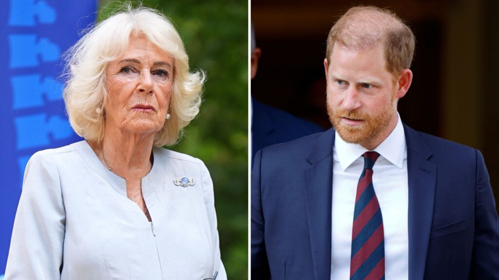 Queen Camilla’s