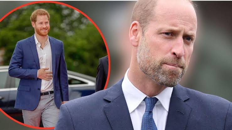 Prince William ‘Blindsided’ by Harry’s Reported Return Plans Prince William ‘Blindsided’