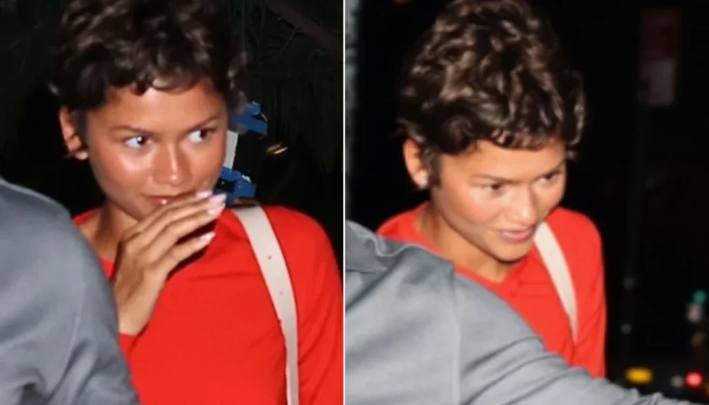 Zendaya Hair Makeover: Euphoria Star Debuts Curls at Reunion