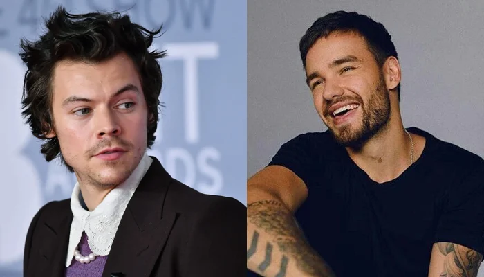 Harry Styles Debuts Song for Liam Payne on Death Anniversary Harry-Styles